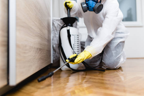 Best Pest Removal Services  in Grenada, MS