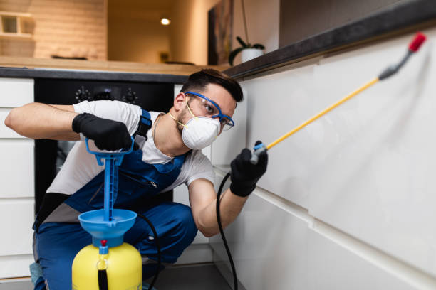 Best Wasp Removal Services  in Grenada, MS