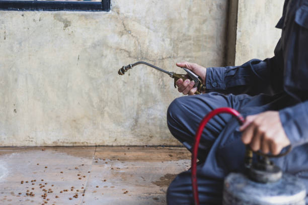 Best Commercial Pest Control Services  in Grenada, MS
